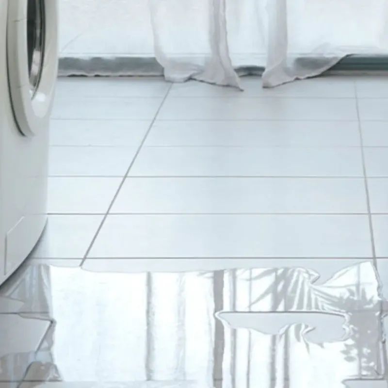 Appliance Leak Cleanup in Laguna Beach, CA